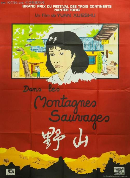 韩国驾照真实样板